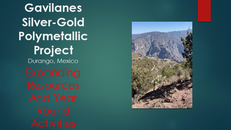 Gavilanes Silver-Gold Project in San Dimas District, Mexico